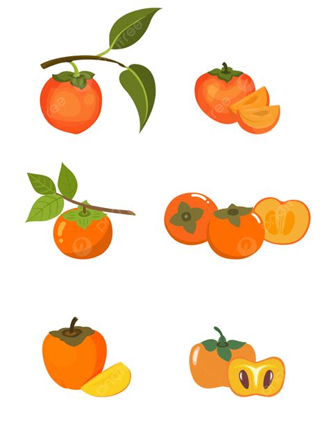 Fresh Fruit Clipart Png Images Fresh Fruit Persimmon Vector Cartoon