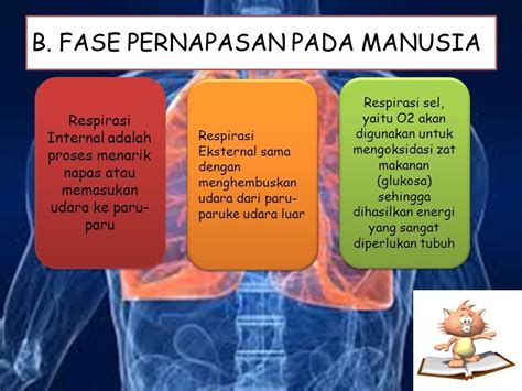 Tujuan Pembelajaran Jenis Jenis Pernapasan Penyakit Atau Gangguan Pada