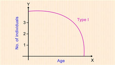 Types of Survivorship Curve with Examples