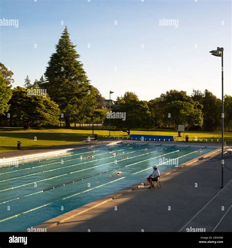 Senior adults swimming in outdoor 50 meter pool with evening sunlight ...