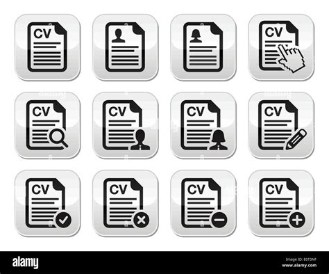 Cv Curriculum Vitae Resume Vector Buttons Set Stock Vector Image