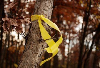 Yellow Tree | Page 2 | Yellow Ribbon