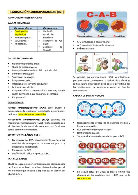 Solution Reanimaci N Cardiopulmonar Studypool