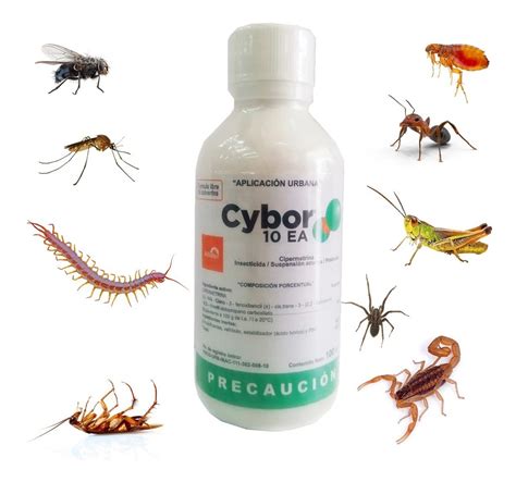 Cybor 10 Ea Insecticida 100ml Plagas Urbanas Insectos Hitcubo