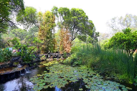 Jardines Botánicos respuesta factible para el rescate de la