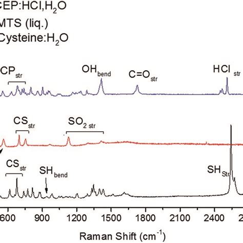 Raman Spectra Of L Cysteine Tcep And Mmts Labelled Modes Are Used