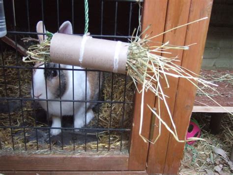 Diy Rabbit Toys Out Of Cardboard | Real DIY Life