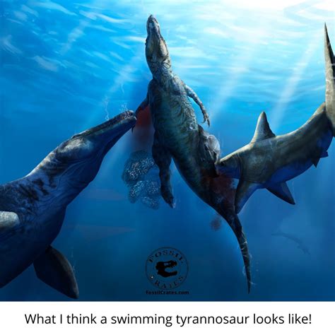 Cretoxyrhina Vs Tylosaurus