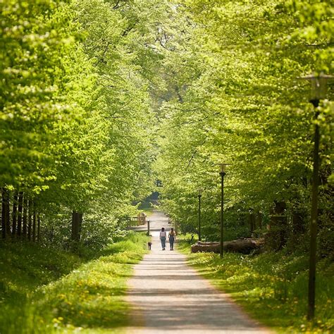 Radfahren Im M Nsterland Radwege Und Radtouren