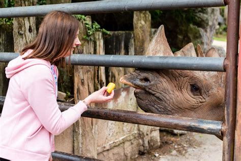 Animal Experiences • Paignton Zoo