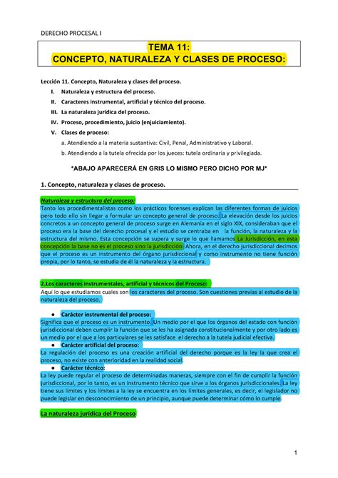 Tema Procesal Ii Tema Concepto Naturaleza Y Clases De