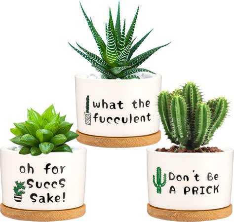 Amazon Laila And Lainey Ceramic Plant Pots For Succulents Set