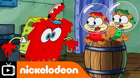 SpongeBob SquarePants | Cute Knuckles | Nickelodeon UK - YouTube