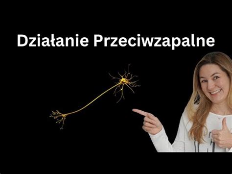 Aktywacja Cholinergicznych Szlak W Przeciwzapalnych Nieinwazyjna