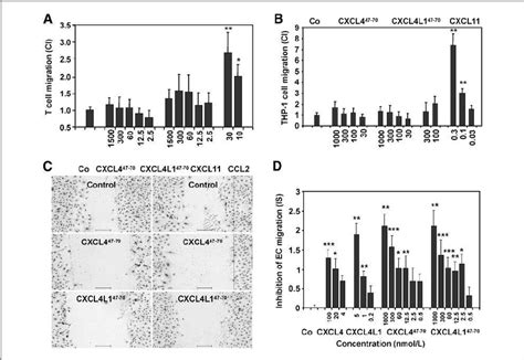 Effect Of Cxcl Pf And Cxcl L Pf Var On The Migration