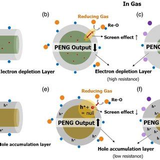 Gas Sensing Mechanism Of An Ntype And Ptype Semiconductor In Dry Air