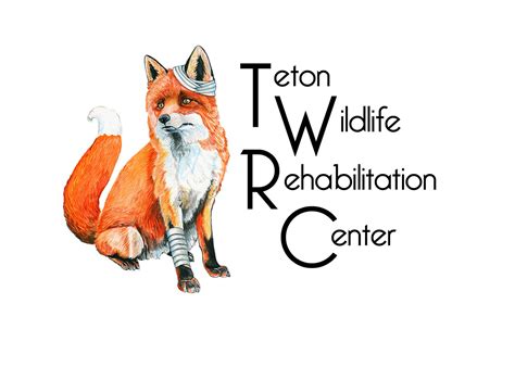 Volunteer — Teton Wildlife Rehabilitation Center