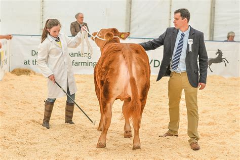 Cattle Judging Nba Beef Expo Image Gallery National Beef