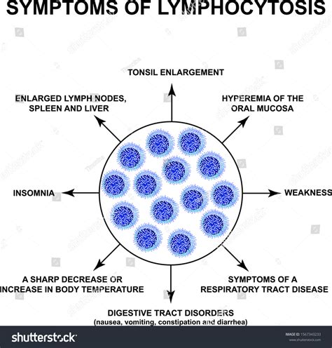 Symptoms Lymphocytosis Increase Lymphocytes Blood Cell Stock Vector (Royalty Free) 1567343233 ...