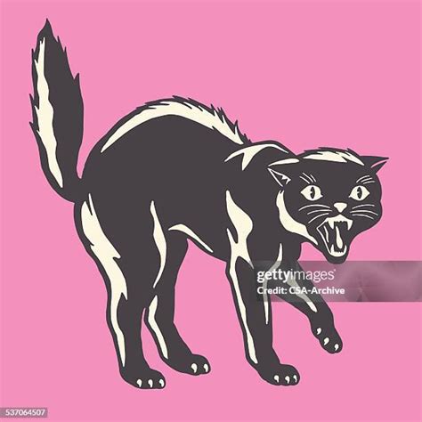 Menacing Cat Photos And Premium High Res Pictures Getty Images