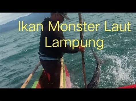 Bahayanya Moncong Marlin Tuhuk Untungnya Langsung Bisa Ditaklukkan