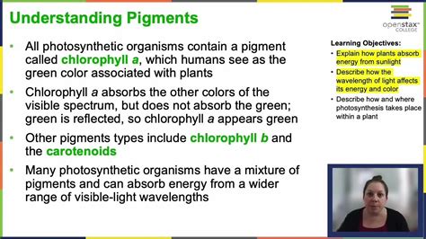 Openstax Concepts Of Biology Chapter 5 2 Youtube