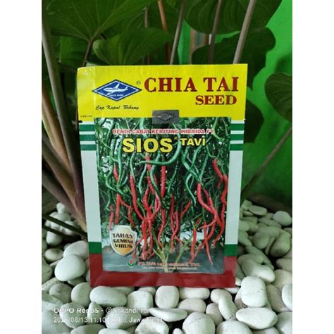 Jual Cabe Kriting Hibrida Sios Tavi F1 Tahan Virus 10gr Original Pabrik