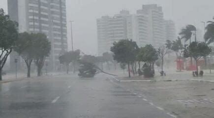 Chuva forte derruba árvores e causa prejuízos em diversos pontos de