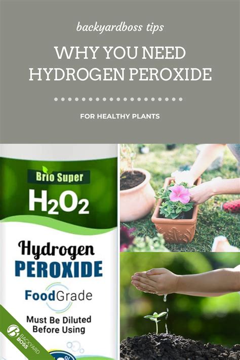 11 Mega Reasons Why Hydrogen Peroxide For Plants Is A Must Hydrogen