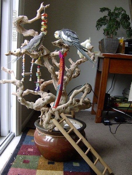 Has Anyone Ever Made Their Own Play Tree Diy Bird Toys Parrot Toys