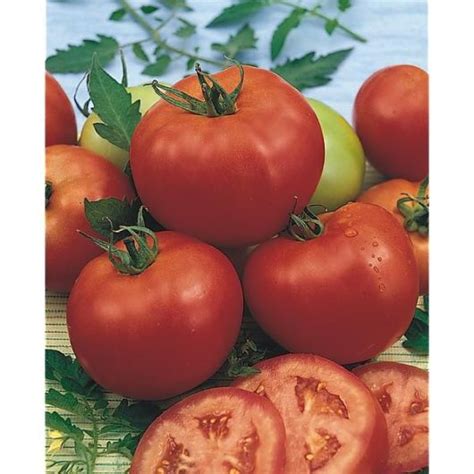 Tomate Super Marmande Vente De Produits Fermiers