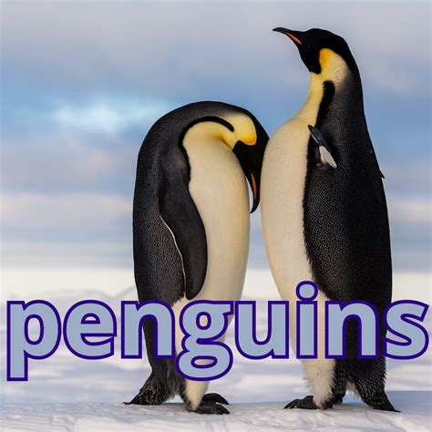 Untitled genially | Genially