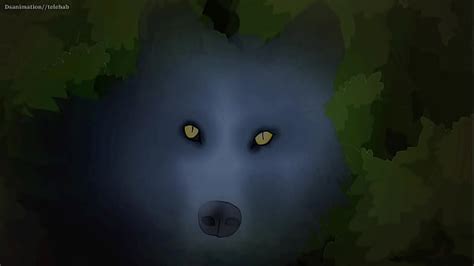 Vídeos hakari XVIDEOS