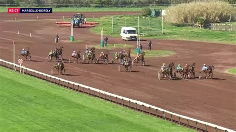 Prix De L Ile Maire Marseille Borely Partants