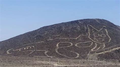 Ancient Design Depicting Huge Cat Discovered In Perus Nazca Desert