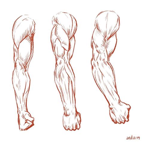 How To Draw Muscular Arms