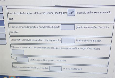 Solved An action potential arrives at the axon terminal and | Chegg.com