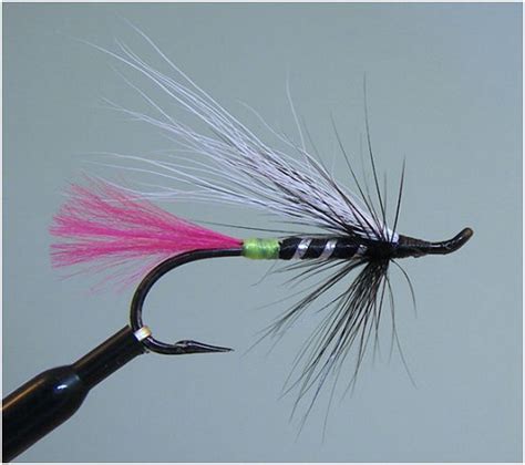 Green Butt Skunk 7 A Steelhead Fly Tied By William Lovelace And