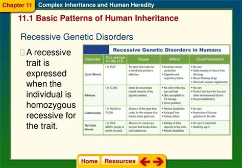 Ppt Basic Patterns Of Human Inheritance Powerpoint Presentation