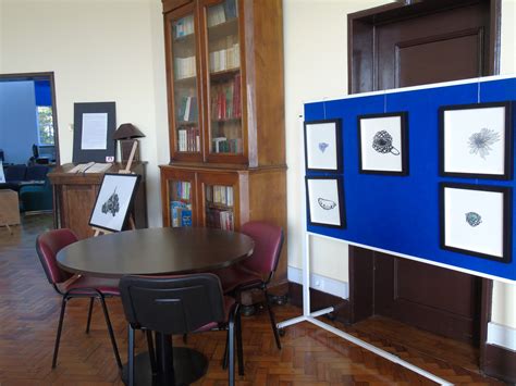 Biblioteca Camilo Castelo Branco Vr Arqueologias Afetivas Escava Es