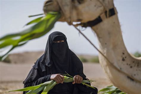 البرنامج الإنمائي للأمم المتحدة اليمن سامية امرأة يمنية ريفية