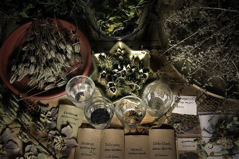 Herb Magic For Witches Witchcraft Pagan Wiccan Occult And Magic