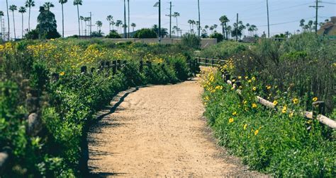 San Dieguito Lagoon Trail Hiking Guide The Simple Hiker