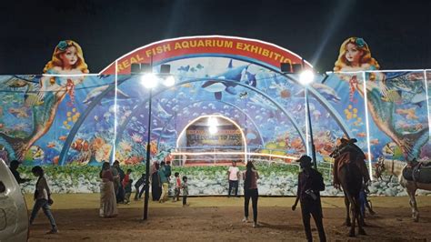 Ganga Utsav Mela Kompally Exhibition In Kompally Under Water Fish