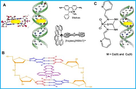 Figure From Drug Dna Interactions And Their Study By Uv Visible