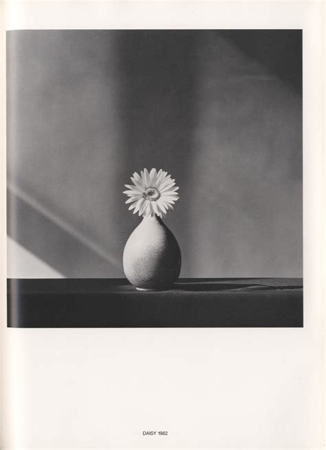 Flowers Author Robert Mapplethorpe 小宮山書店 Komiyama Tokyo 神保町 古書・美術作品の販売、買取