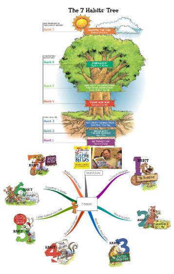 7 Habits Mindmap Tree Imindmap Mind Map Template Biggerplate