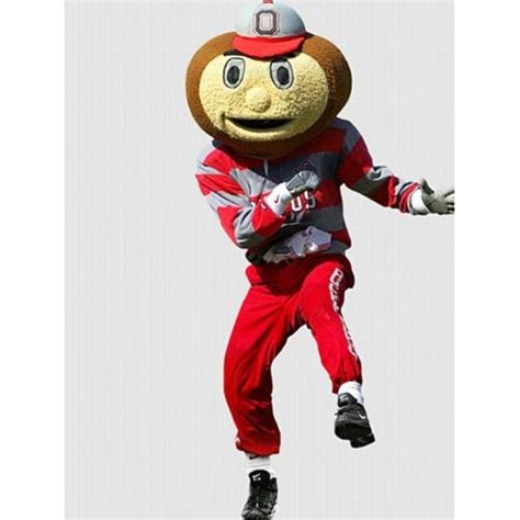 🔥 50 Brutus Buckeye Wallpapers Wallpapersafari