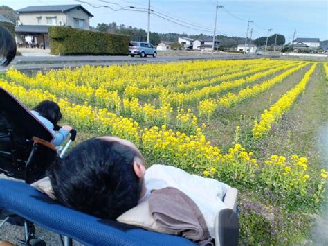 ご支援者さま100名達成！菜の花を見に行きました。 一般社団法人kaikai