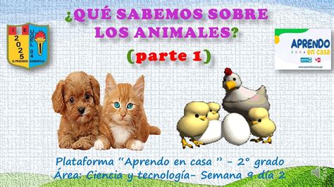 Qué sabemos sobre los animales parte I sesiones aprendo en casa